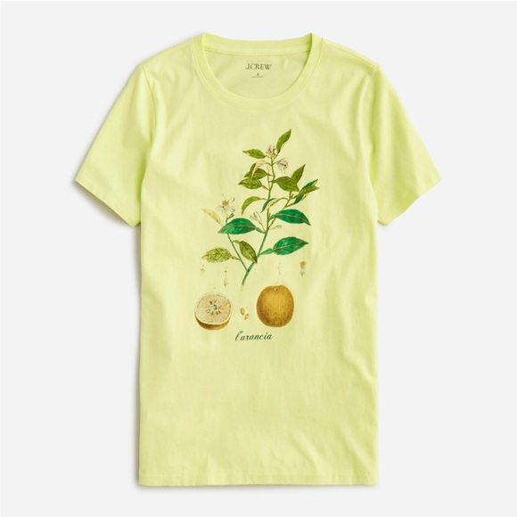 J. Crew Tops - J. Crew Classic Crew Neck Citrus Tee New With Tags Size Small